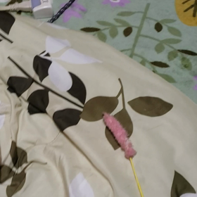 まだ遊べないの?の画像