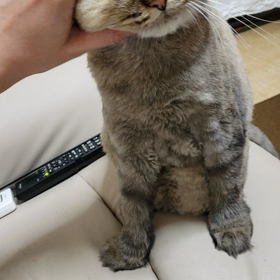 とろけるナナさんの画像