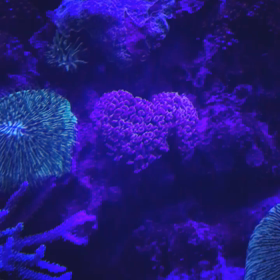 はじめての沖縄の画像