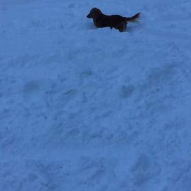 2018/1がつの画像