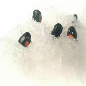 暑い日はかき氷でひーんやりの画像