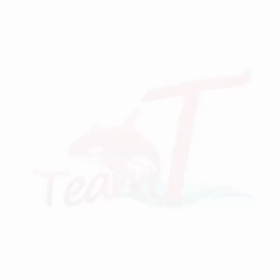 ⭐️自己紹介⭐️の画像