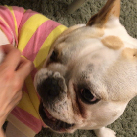 やっぱこれでしょ♩の画像