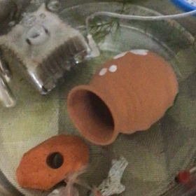 胃カメラの画像