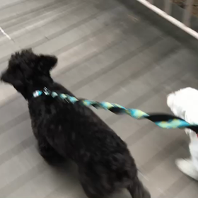 ♪お散歩動画♪お台場海浜公園♪の画像