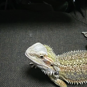 空くんお食事の画像