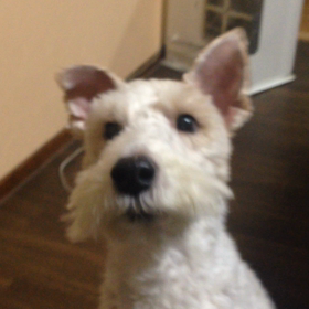 秘技☆ちょーだいなの画像