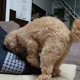 【錦織くん、残念だったね(>_<)】の画像