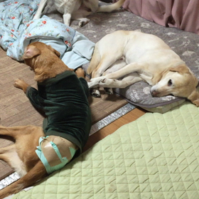 世にも奇妙な物語？の画像