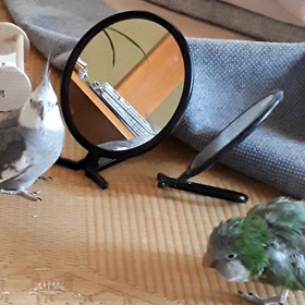 ちょっとずつ近づく①♪の画像