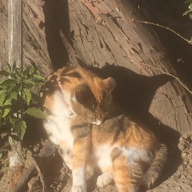 最新の投稿から1ヶ月が経ちましたの画像