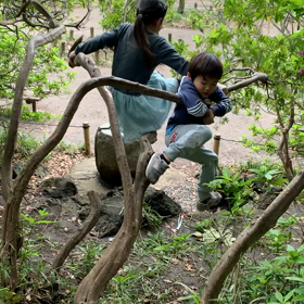 だいじょぶだ〜の画像