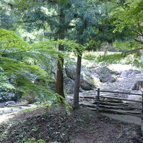 シータヒーリング、モニター体験。の画像