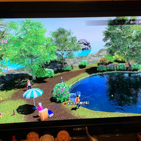 初釣り⁉️の画像