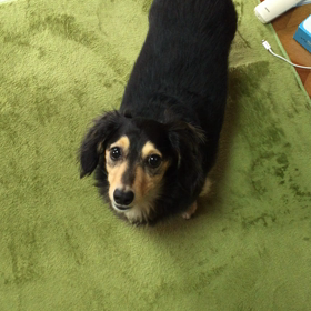 連休前は混んでるわぁの画像