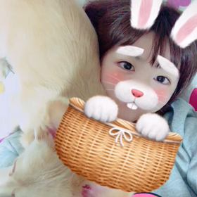 虎鉄の寝方の画像