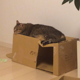 What's your NAME？？の画像