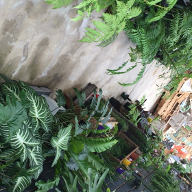 ファーム動画の画像