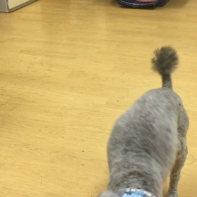 サン編。の画像