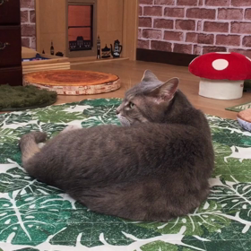 キタキタキター♡の画像