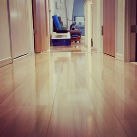 うさぎ跳びの画像