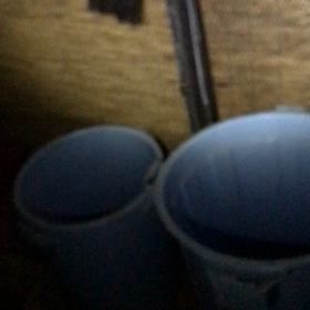 今日だったの画像