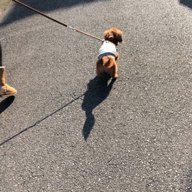 成くん可愛いーのなんのって！の画像