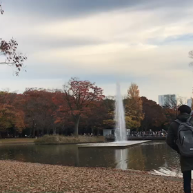 ♪お散歩動画♪代々木公園♪の画像