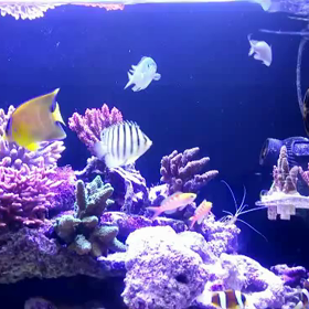 酔っ払って動画編集してみた4の画像