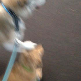 浦和マダムの画像