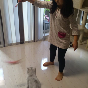 お姉ちゃんと遊びの画像