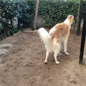 困りごと…の画像