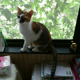 掃除機の後は…(--;)の画像