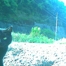 すぎぴたんの事件簿シーズン２　１１話 の画像