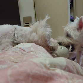 毎日仲良しの画像