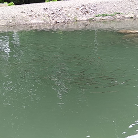 久しぶりの釣りの画像