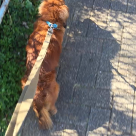 ３２８＄の巻の画像