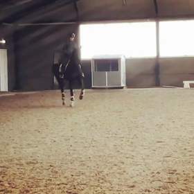 Zingarとクラブ長の画像