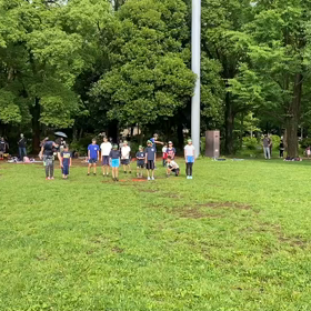 ダッシュ(黄緑)①の画像