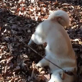 楽しそう〜〜(*^◯^*)の画像