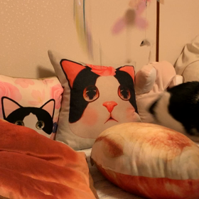 猫じゃらしは、結局こうなりますの画像