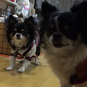 D11  ひとあんしん♡の画像