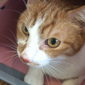 ご心配をおかけしましたの画像