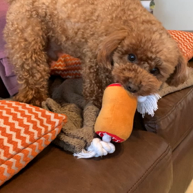 コロナへの怒り？の画像