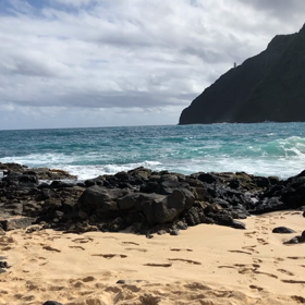 アロハスピリットの画像