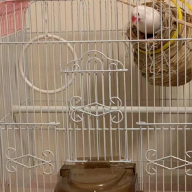 上昇エレベーターの画像