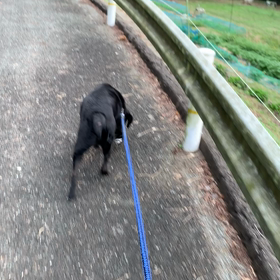 帰ってきた彼。。の画像