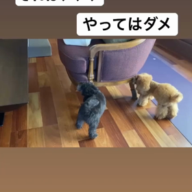 宇野樹君インスタストーリーより　それは、、、　やってはダメの画像