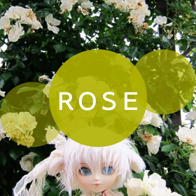 doll  羊の男の子の画像