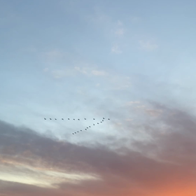 寄り道せずに帰ろうの画像